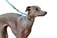 WAUDOG polzvlečna pasja ovratnica iz zelo finega usnja modra 30 cm, širina: 6 mm