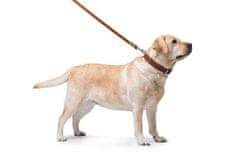 WAUDOG Ravna, klasična, kakovostna pasja ovratnica iz rjavega usnja, rjav dolžina: 32-40 cm, širina: 20 mm