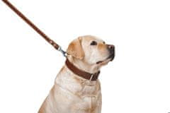 WAUDOG Ravna, klasična, kakovostna pasja ovratnica iz rjavega usnja, rjav dolžina: 32-40 cm, širina: 20 mm