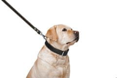 WAUDOG Dvoslojna pasja ovratnica iz visokokakovostnega ravnega usnja v črni barvi, Črna dolžina: 27-35 cm, širina: 14 mm
