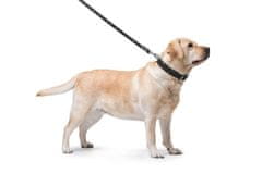WAUDOG Dvoslojna pasja ovratnica iz visokokakovostnega ravnega usnja v črni barvi, Črna dolžina: 27-35 cm, širina: 14 mm