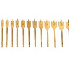 Silver Tools Set HEX 16 ploščatih rezkalnih svedrov za les 6-38mm