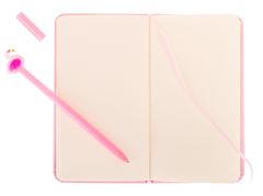 Aga Darilni set Aga Notebook s perjem Flamingo