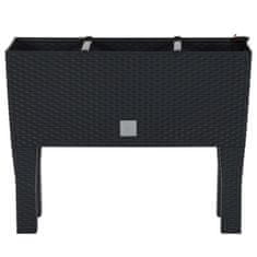 Vidaxl Visoka vrtna greda antracit 60x25x46 cm PP ratan