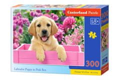 JOKOMISIADA Puzzle 300 el. Labradorski kuža v roza škatli