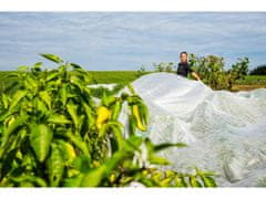 Bellushortus BELA AGROTKANINA 1,5m 15g/m2 z UV 90m