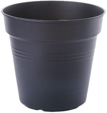 Elho Green Basics - živa črna 17 cm