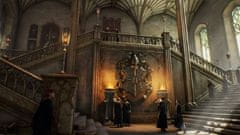 Warner Bros Hogwarts Legacy igra (Xbox Series X)
