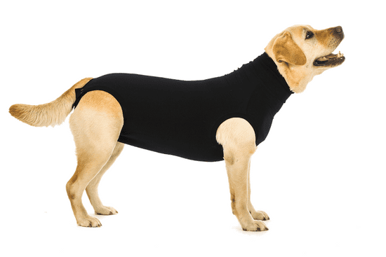 Suitical Pooperativna zaščitna obleka za pse, zaščitna obleka za pse v primeru težav s kožo, v primeru iztekanja