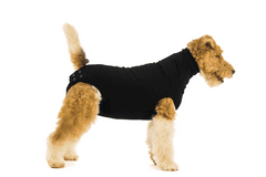 Suitical Pooperativna zaščitna obleka za pse, zaščitna obleka za pse v primeru težav s kožo, v primeru iztekanja, Array 80 - 92 cm