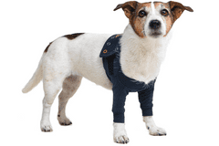 Pooperačné ochranné oblečenie na obe predné nohy psa 17 cm, prsni obseg: 40-54 cm