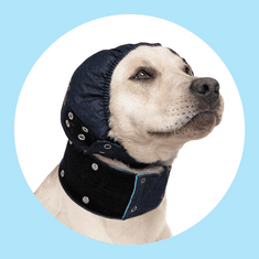MPS Pooperativna zaščita za glavo in ušesa psa - zaščitni naušnik XL