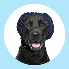 Pooperativna zaščita za glavo in ušesa psa - zaščitni naušnik XL