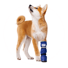 Pooperačná ochranná topánka pre psa L
