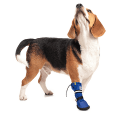 Pooperačná ochranná topánka pre psa L
