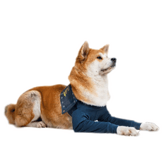 MPS Pooperačné ochranné oblečenie na obe predné nohy psa 17 cm, prsni obseg: 40-54 cm