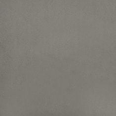 Vidaxl Vzmetnica z žepkasto vzmetjo svetlo siva 120x190x20 cm žamet