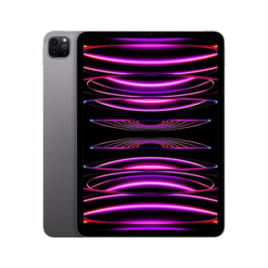 Apple iPad Pro 11 tablični računalnik, 2 TB, Wi-Fi, Space Gray (4.generacija) (MNXM3HC/A)