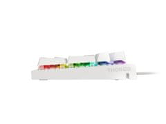 Genesis Gaming mehanska tipkovnica THOR 303/RGB/Outemu Brown/Wired USB/US layout/White