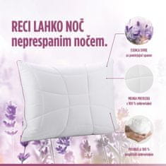 Vitapur Lavender Provence set vzglavnikov in odej, 4-delni, 50 x 70 cm x 2 + 140 x 200 cm x 2