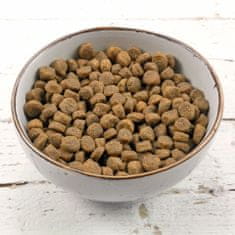 Grau GP Adult suha hrana za mačke, perutnina s krompirjem, 2 kg