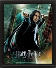 Epee Harry Potter slike 3D - Snape