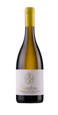 Sanctum Vino Chardonnay Prestige 2022 1,5 l