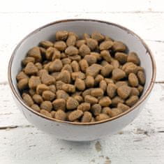 Grau GP Adult suha hrana za mačke, perutnina & losos, 2 x 400 g