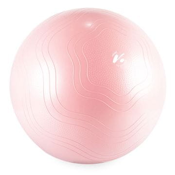Gymstick Vivid fitnes vadbena žoga, 65 cm, pink