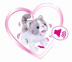 Simba Chi Chi Ljubezen Mačka s funkcijami