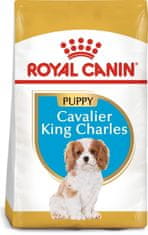 shumee Royal Canin SHN Breed Cavalier KC hrana 1,5 kg