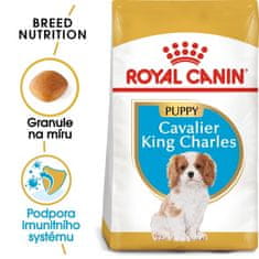 shumee Royal Canin SHN Breed Cavalier KC hrana 1,5 kg