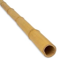 bambusova podpora premera 12/14 mm, dolžina 150 cm