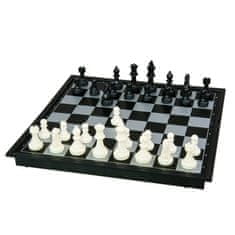 Dino Toys Družinska igra MAGNETIC CHESS