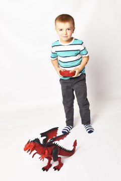 Mac Toys Daljinsko upravljanje zmaja