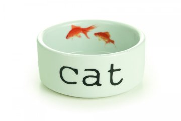 Beeztees Mačja skleda SNAPSHOT 11,5x4cm