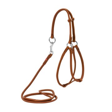 WAUDOG Rjava usnjena pasja oprsnica