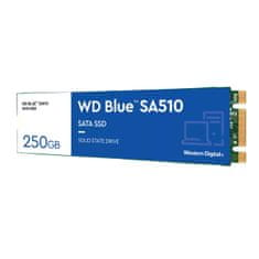 WD Blue SA510/250GB/SSD/M.2 SATA/5R