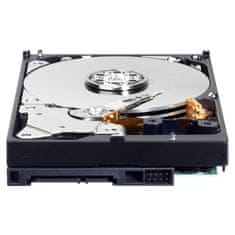 WD BLUE 5000AZLX 500 GB SATA/600 32 MB predpomnilnika 7200 vrtljajev na minuto