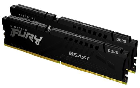 Kingston FURY Beast/DDR5/16GB/5600MHz/CL40/2x8GB/črna