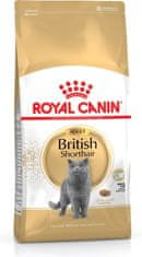 Royal Canin ROYAL CANIN British Shorthair FBN Adult - suha hrana za mačke - 400g