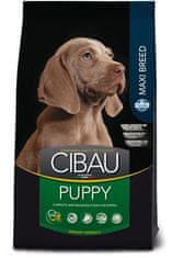 Farmina cibau puppy maxi 12kg + 2kg