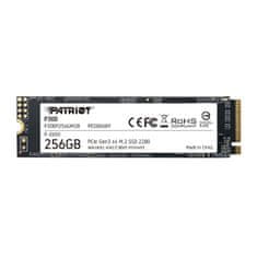 P300/256GB/SSD/M.2 NVMe/3R