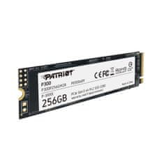 P300/256GB/SSD/M.2 NVMe/5R