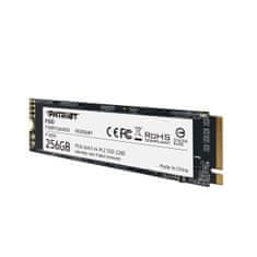 P300/256GB/SSD/M.2 NVMe/5R