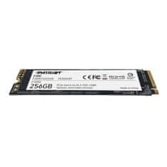 P300/256GB/SSD/M.2 NVMe/3R