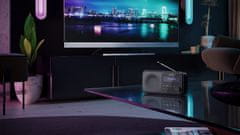 Sharp Tokyo Portable Digital Radio DR-P420BK