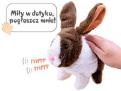 JOKOMISIADA Interaktivna igrača Crunchy Pet Rabbit ZA2685