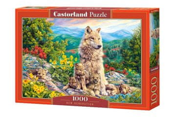 JOKOMISIADA Puzzle 1000 el. New Generation