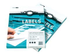 Smart Europapier LINE Samolepilne etikete 100 listov (4 etikete 105 x 148,5 mm)